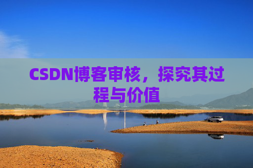 CSDN博客审核，探究其过程与价值