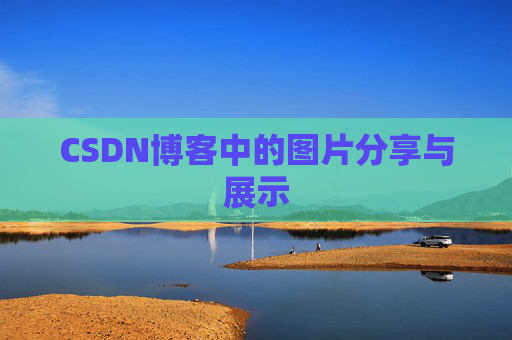 CSDN博客中的图片分享与展示